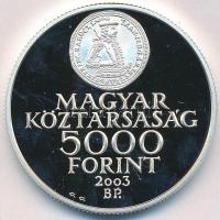2003. 5000Ft Ag "Rákóczi szabadságharc évfordulója" T:PP apró felületi karc és fo