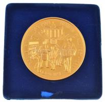 Bognár György (1944-) 1989. "Vasfüggöny / Berlini fal" aranyozott fém emlékérem (65mm) T:P...