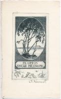 Adolf Kunst (1882-1937): Ex libris Oscar Hillinger. Rézkarc, papír, jelzett, 13×7 cm