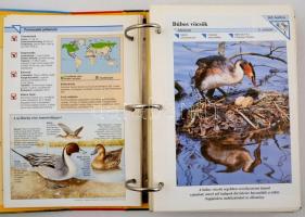 Bolha tétel: a Csodálatos állatvilág 3 mappája; Ne félj, veled vagyok hímzés üvegezett keretben(8x12...