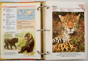 Bolha tétel: a Csodálatos állatvilág 3 mappája; Ne félj, veled vagyok hímzés üvegezett keretben(8x12...