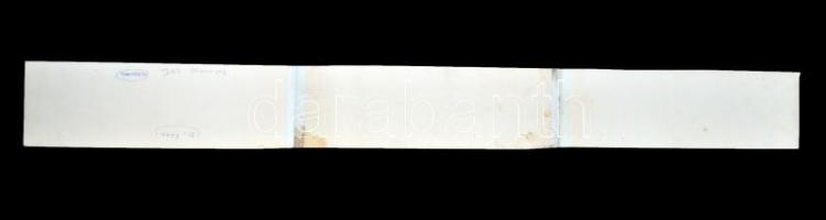 Patscherkofel (Tirol), Panorama / 3 tilled panoramacard (84 x 10 cm) photo (non Pc) (vágott / cut)