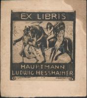 Ludwig Hesshaimer (1872-1956): Ex libris Hauptman. Rézkarc, jelzett a karcon, sérült, 11×10 cm