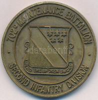 Amerikai Egyesült Államok DN 702. Karbantartó Zászlóalj - 2. Gyaloghadosztály Br érem (40mm) T:2 USA ND 702nd Maintenance Battalion - Second Infantry Division Br medal (40mm) C:XF