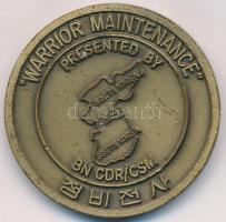 Amerikai Egyesült Államok DN "702. Karbantartó Zászlóalj - 2. Gyaloghadosztály" Br érem (4...
