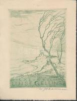 Wilhelm Johannsen (1897-1938): Ex libris Luise Gelling. Rézkarc, papír, jelzett, 11×8,5 cm