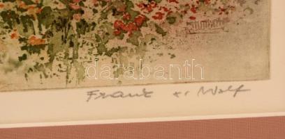 Franz Xavier Wolf (1896-1990): Utca részlet. Színes rézkarc, papír, jelzett, üvegezett keretben, 31×...