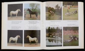 Tóth László - Várady Jenő: A lipicai ló Magyarországon. Budapest, 1980, Mezőgazdaság Kiadó. 143 p. K...