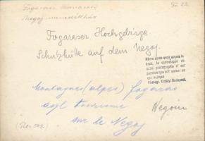 cca 1910-1920 Negoj menedékház, Fogarasi-havasok, hátoldalon feliratozva, 11x15 cm / Cabana Negoiu, ...