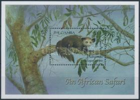 African fauna block, Afrikai állatvilág blokk