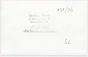 cca 1960-1970 Linzbauer Tamás: Keszthely, vasútállomás, pecséttel jelzett, 9x14 cm