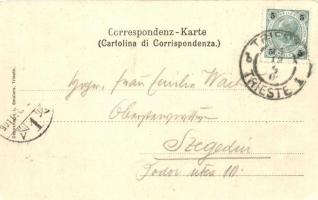 1899 Trieste, Miramar castle - 2 postcards, floral, litho