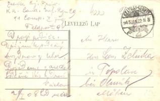 Erdőd, Ardud, Erdődvár; Petfői emlék, Divald Károly / monument (EB)