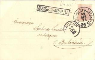 1899 Szigetvár, Zrínyi szobor és tér, Városháza tér, várrom, floral, litho (EK)