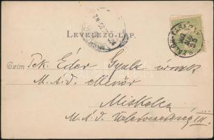 Tiszagyenda, Pusztagyenda; Hellebronth kastély, belső, kiadja Divald Károly