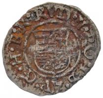 1592K-B Denár Ag "Rudolf" (0,54g) T:2,2- oxidáció
Huszár: 1059.,Unger I.: 811.a