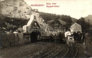 Petrozsény, Petrosani; Nyugati bánya / MIna Vest / western mine (EK)