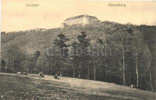 Vöröskő, Cerveny Kamen; Bibervár, Levius P. S. kiadása / Bibersburg / castle (vágott / cut)