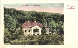 Beszterce, Bistritz, Bistrita; Villa France am Schieferberg (EK)