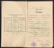 1933 Bp., Tanulmányi értesítő izraelita vallású reáliskolai tanuló számára, illetékbélyegekkel