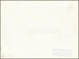 Különös szilveszter, MTI Külföldi Képszolgálat, pecséttel jelzett fotó, kis szakadással, 18x24 cm