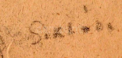 Siklós jelzéssel: Akt. Szén, papír, szakadással, 42x27 cm