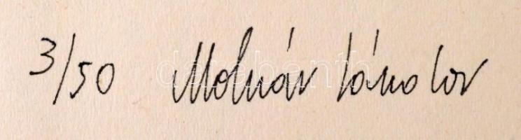 Molnár Sándor(1936-): Kompozíció. Szitanyomat, papír, hátoldalon jelzett, 42x29 cm