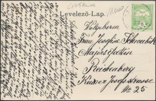 Cinfalva, Siegendorf; kastély / castle