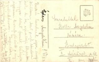 Magyar disznók a gazdaság udvarán / Hungarian pigs on the farm, photo