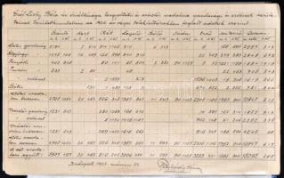 cca 1927 Zichy Béla gróf (1951-1928) birtokaival kapcsolatos gazdasági iratok: számadások, felbecslé...