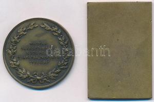 1929. "Budapest Sakk Csapatbajnoksága - 1929 Szövetségi Díj II." Br díjérem (36x55mm) + 19...