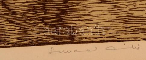 Lunczer Anikó (1942- ): Ártér. Színes linómetszet, papír, jelzett, keretben, 34×21 cm