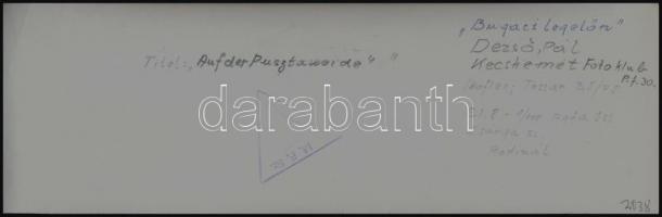 cca 1961 Dezső Pál: Bugaci legelőn, feliratozott vintage fotóművészeti alkotás, 7,5x23 cm