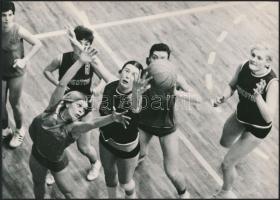 1970 A székesfehérvári VIDEOTON kosárlabdázói nyerték az országos kupát, vintage fotó, 17x23 cm