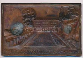 ~1920-1930. "Szent Margitszigeti Szanatórium" Cu lemezplakett, "Ludvig E. Bpest"...