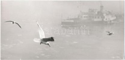 cca 1958 Magyar Alfréd: Téli Duna, feliratozott vintage fotóművészeti alkotás, 11,5x24 cm