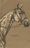 Horse head, art postcard, Meissner & Buch Künstler Postkarten Serie No. 1880, litho s: Richard B. Adam