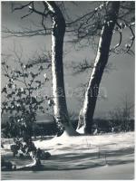 cca 1972 Gebhardt György (1910-1993): Téli táj, aláírt vintage fotóművészeti alkotás, 24x18 cm