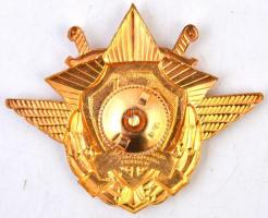 Ukrajna DN "Vörös Gárda Zászló - Dnyipropetrovszki kapcsolat" aranyozott, zománcozott fém ...