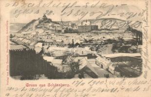 Segesvár, Schassburg, Sighisoara; Látkép, kiadja Fritz Teutsch / general view