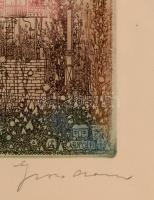 Gross Arnold (1929-2015): Emlékek kertje II. Színes rézkarc (próba), papír, jelzett, üvegezett  kere...