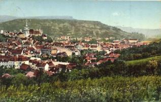 Segesvár, Schassburg, Sighisoara; Látkép / general view