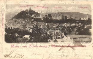 1899 Segesvár, Schassburg, Sighisoara; Látkép, kiadja F. Petrovics / general view (EB)