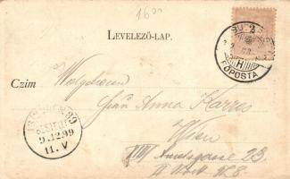 1899 Budapest II. Ferenc József internátus, kiadja Divald Károly