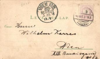 1898 Brassó, Brasov, Kronstadt; Látkép, térkép, címer / general view, map, coat of arms, Verlag W. H...