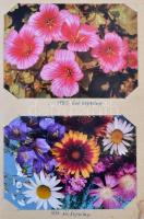 77 db MODERN üdvözlő és virágos lap füzetben / 77 modern greeting and flowert motive cards in booklet