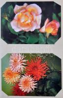 126 db MODERN húsvéti üdvözlőlap saját készítésű albumban / 126 modern Easter greeting cards in cust...