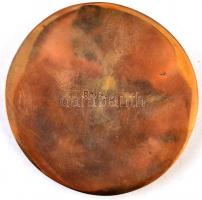 Bolba Hernik (1924-) 1981. "Budapest Sportcsarnok 1978-1981" Br emlékplakett dísztokban (7...