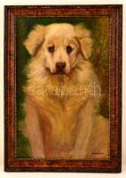 Ferenczy jelzéssel: Golden retriever. Olaj, vászon, keretben, 56×37 cm