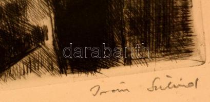 Iván Szilárd (1912-1988): Fürdés után, rézkarc, karton, jelzett, üvegezett keretben 42×53 cm